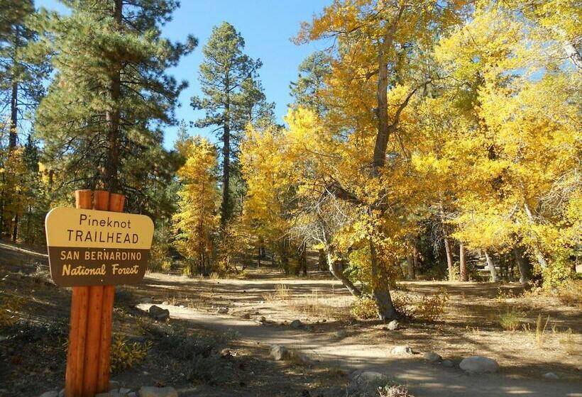 Fawn Memories Cabin