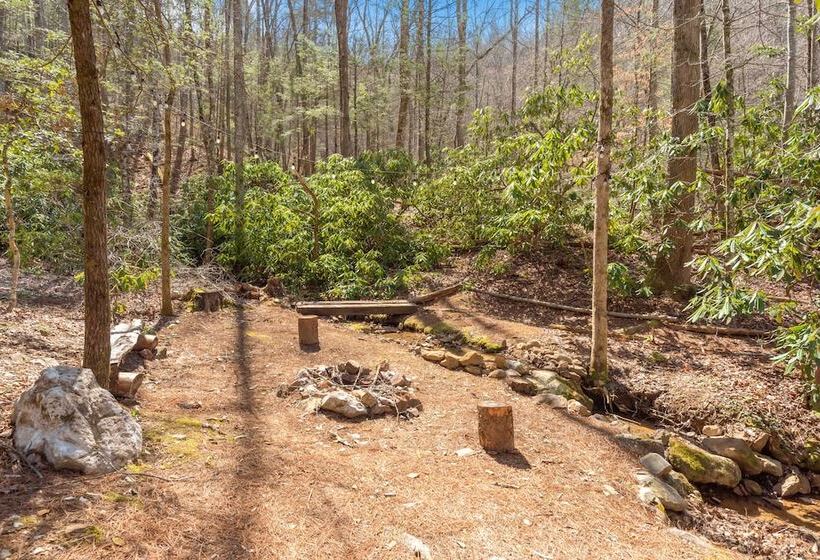 Bear Paw Trail