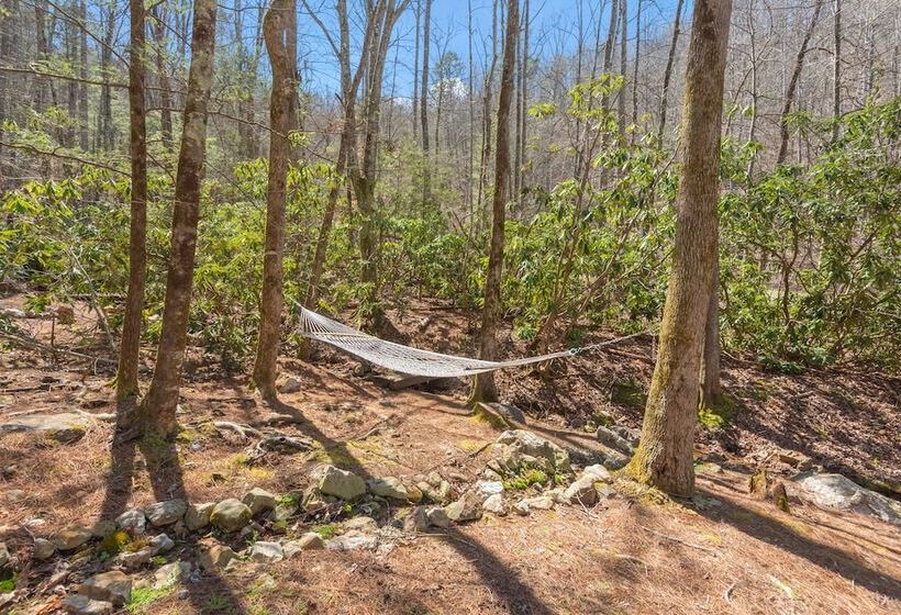 Bear Paw Trail