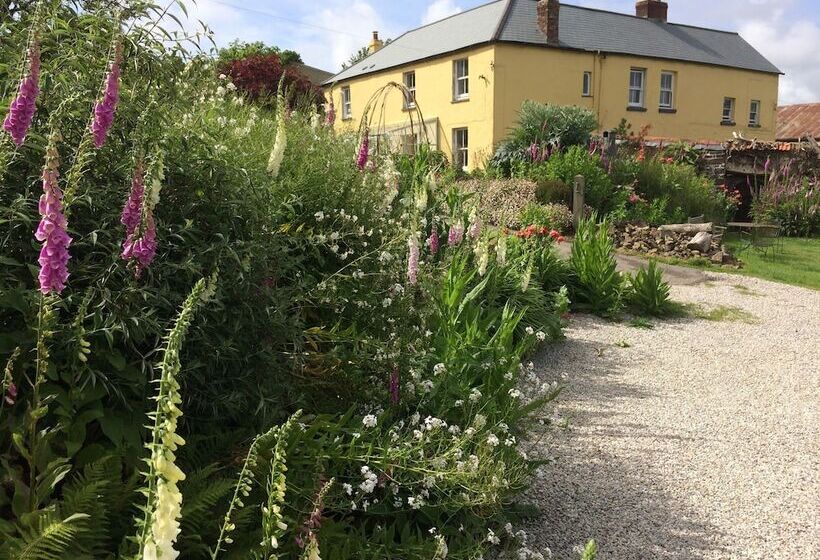 膳宿费 Frizenham Farmhouse