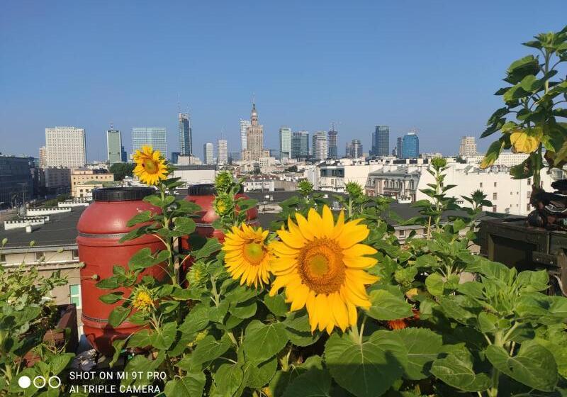 住宿加早餐  Chopin Boutique