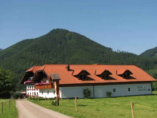 Bauernhof Muehlbauernhof