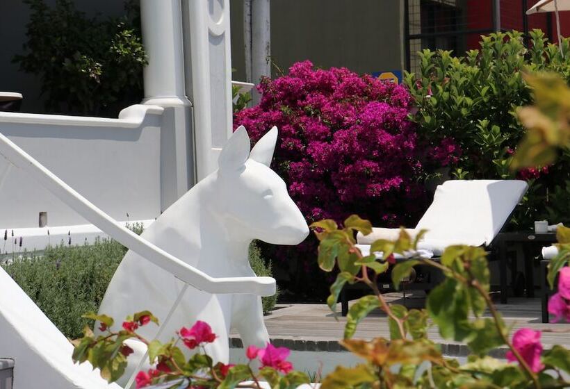 Fotos del hotel Dysart Boutique:  12