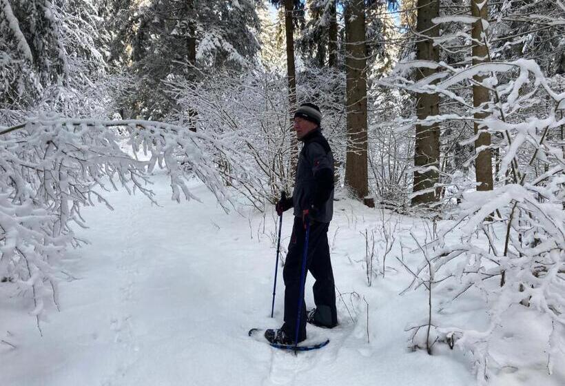 酒店 Gasthof Zur Linde