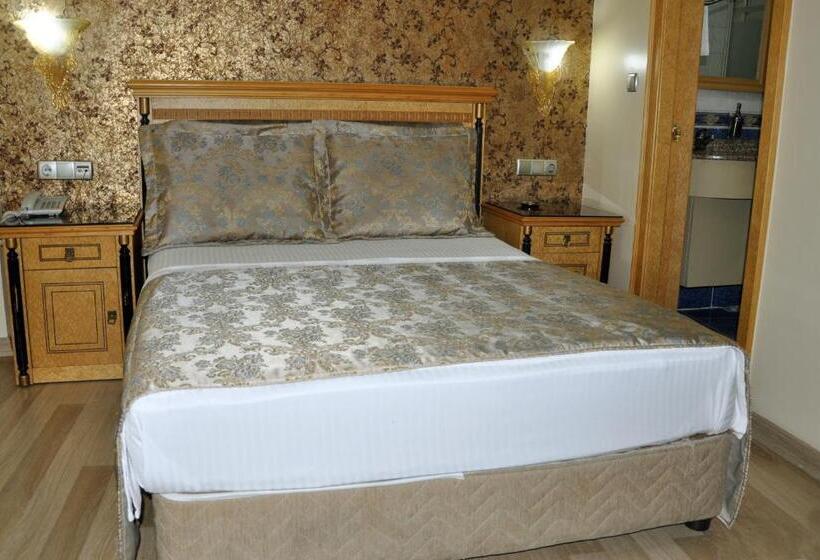 Fotos del hotel Grand Hisar:  2