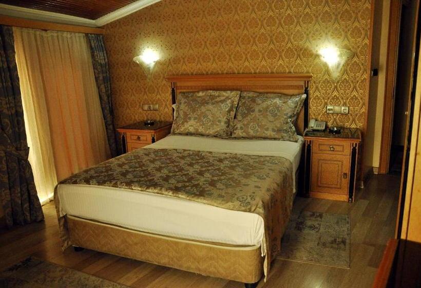 Fotos del hotel Grand Hisar:  3