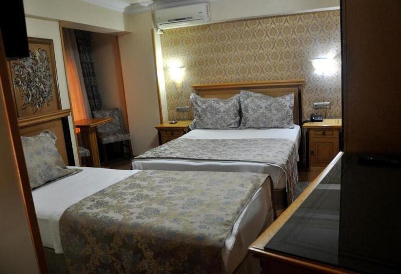 Fotos del hotel Grand Hisar:  5