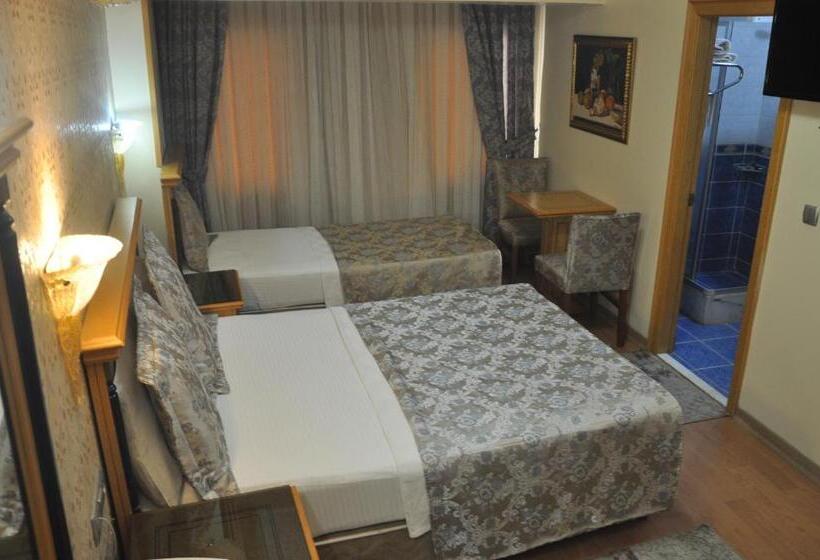 Fotos del hotel Grand Hisar:  6