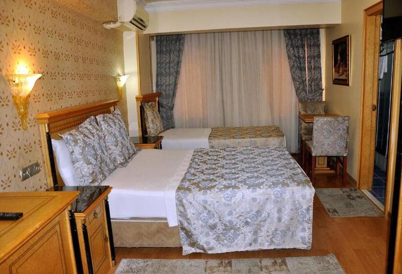 Fotos del hotel Grand Hisar:  7