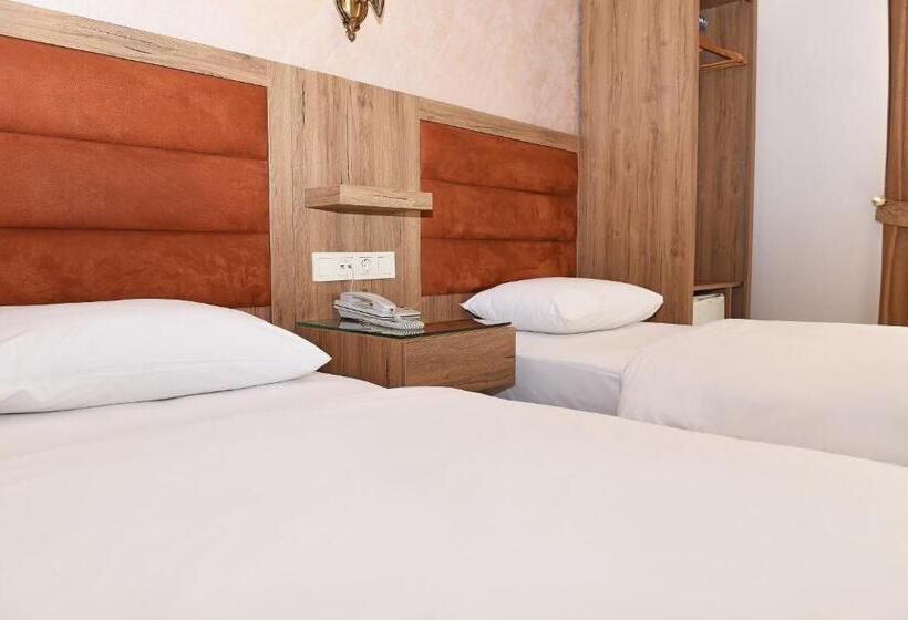 Fotos del hotel Grand Umit:  10