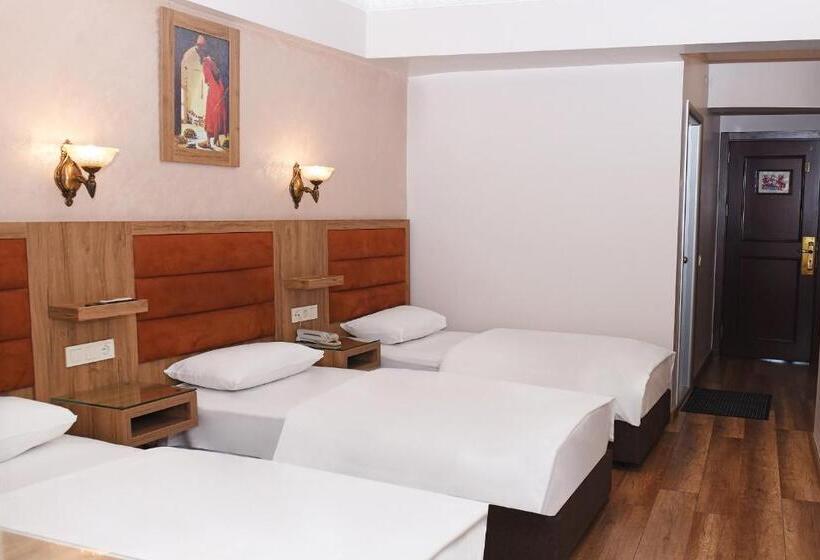 Fotos del hotel Grand Umit:  14