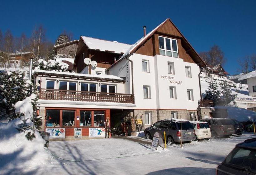 هتل Pension Kraus