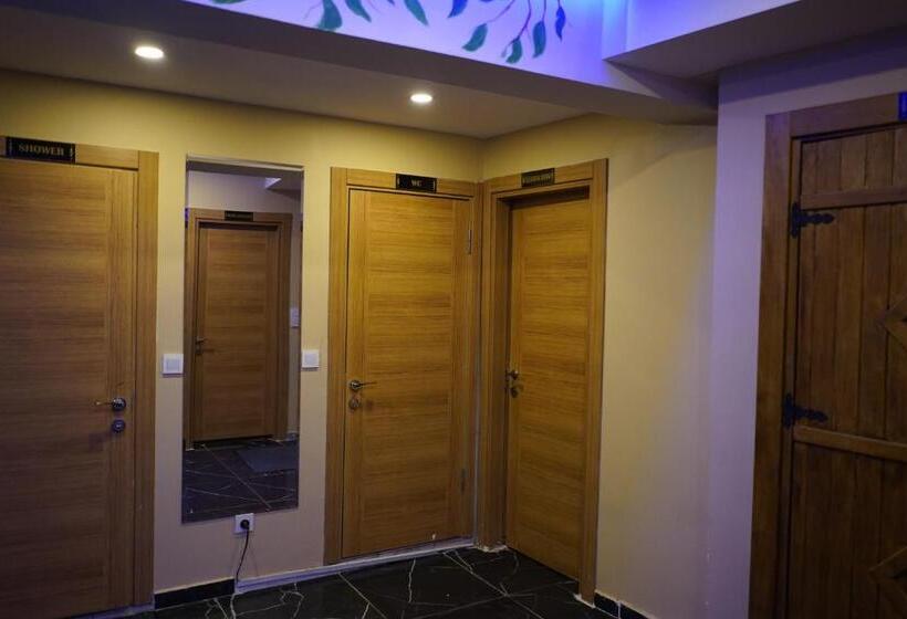 Fotos del hotel Old City Viva:  41