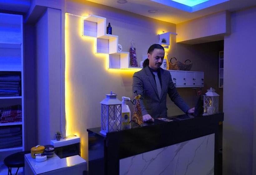 Fotos del hotel Old City Viva:  19