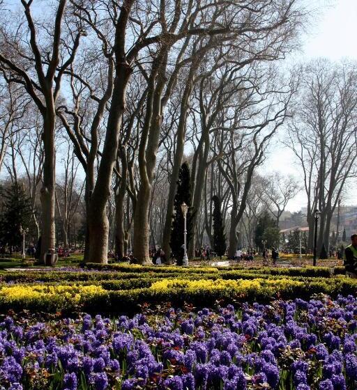 Fotos del hotel Old City Viva:  44