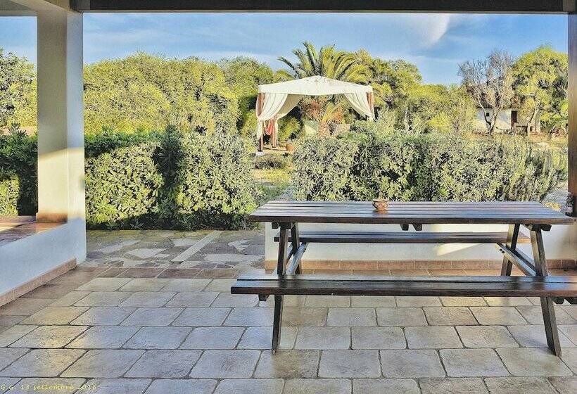 Alba B&b