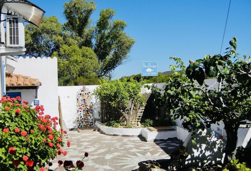 Alba B&b