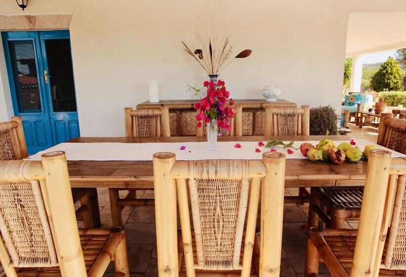 Alba B&b
