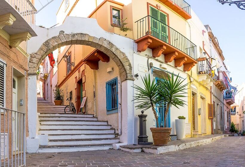 Alba B&b