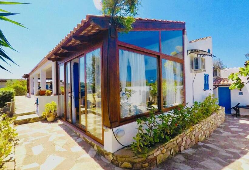 Alba B&b