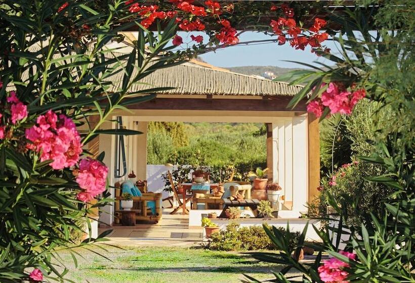 Alba B&b