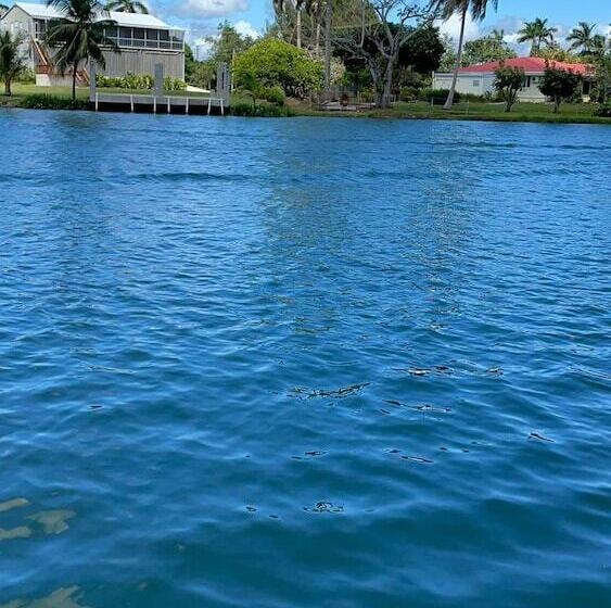 مبيت وإفطار River Bend Resort Belize