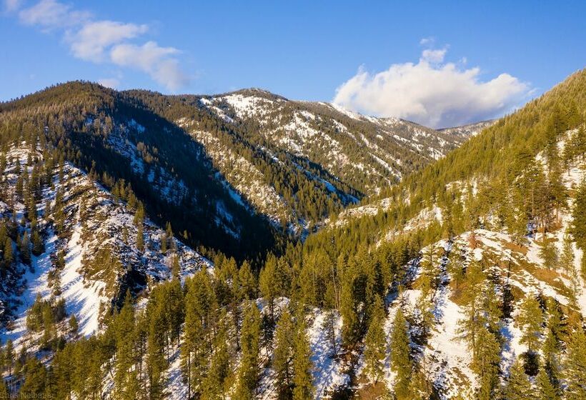 Отель Bear Creek Resort   Campsite