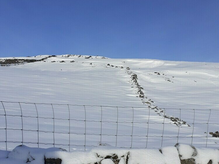 Keeper S Copse The Yorkshire Dales National Park