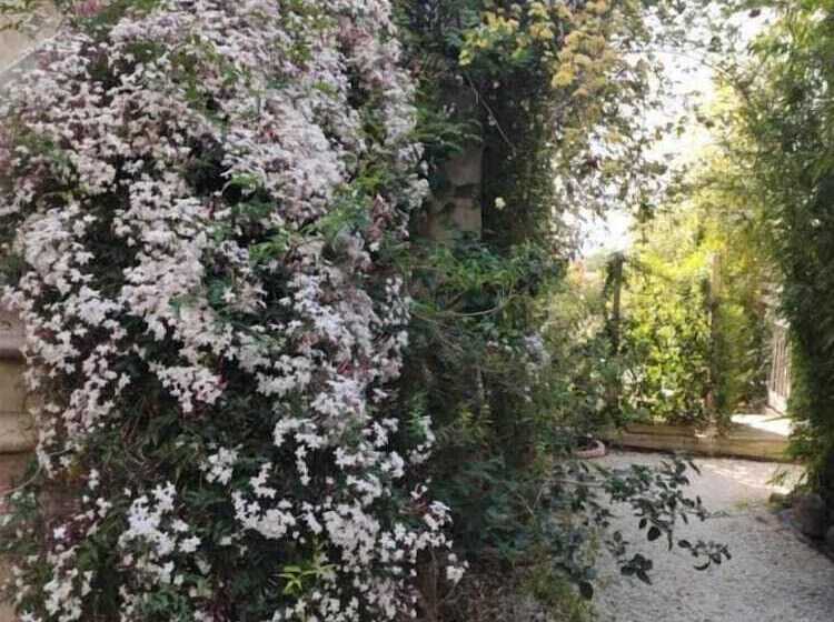 ペンション Maison D Hôtes Cœur D Hérault