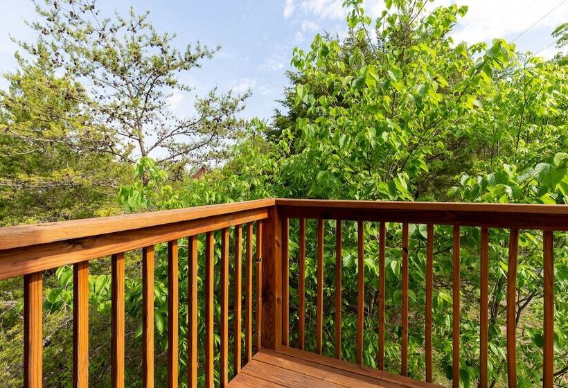 Cedar Top