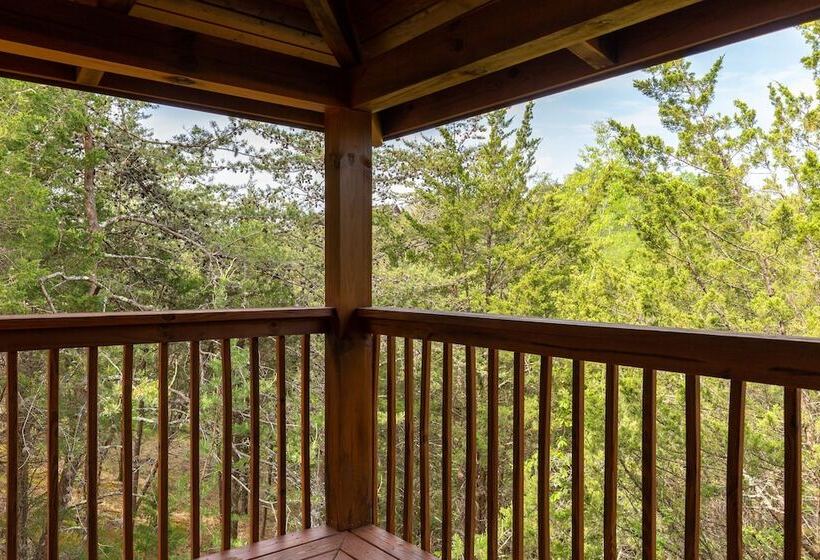 Cedar Top