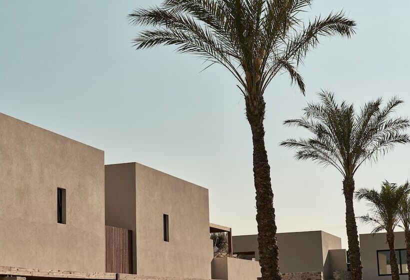 Theros All Suite Hotel   Adults Only