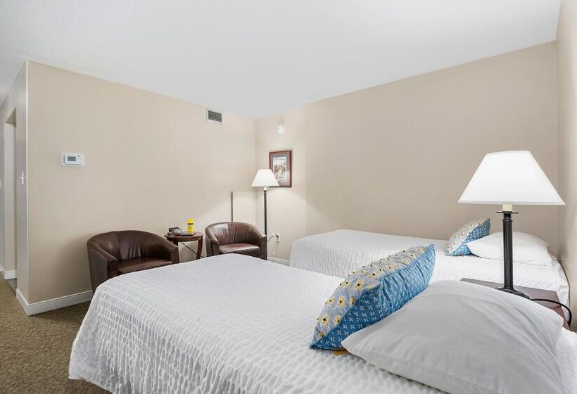 پانسیون Top Floor Standard Suite