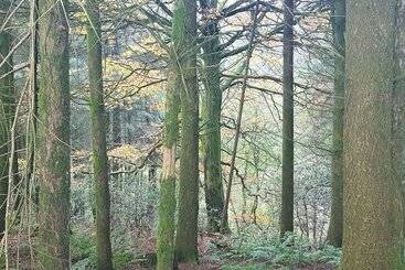 Cosy Cottage In The Blackdown Hills, Devon