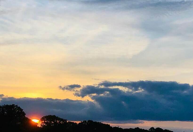 ホテル Wild Orchid Bell Tent In The Broads National Park