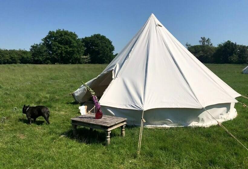 ホテル Wild Orchid Bell Tent In The Broads National Park