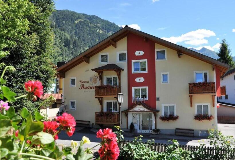 Bed & Breakfast Pension Posauner