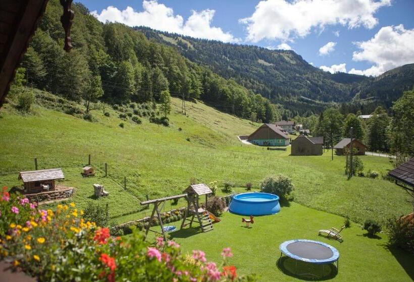Bio Bauernhof Vordergrubenbach   Familie Oberascher