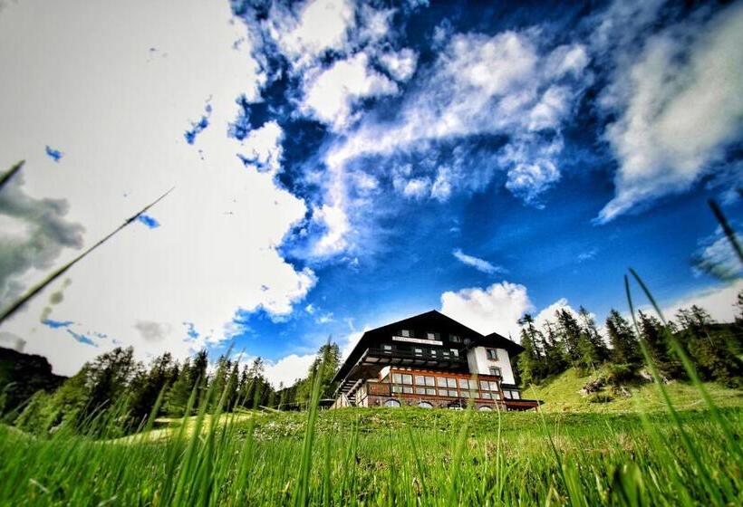 酒店 Alpen Arnika