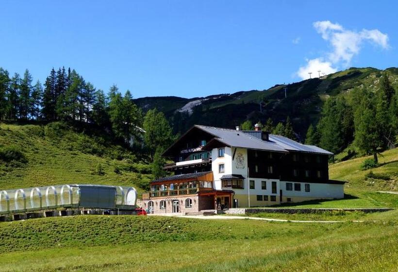 酒店 Alpen Arnika