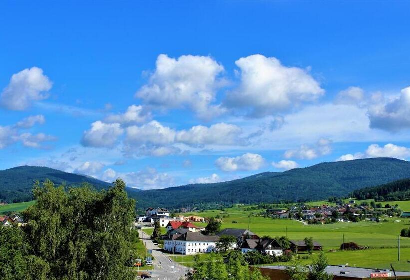 ホテル Böhmerwaldhof