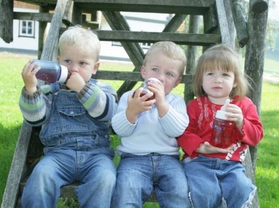 Отель Ederbauer Am Irrsee