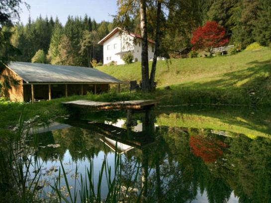 فندق Ferienhaus Hollinger