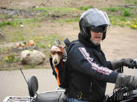 فندق Ferienhaus Hollinger