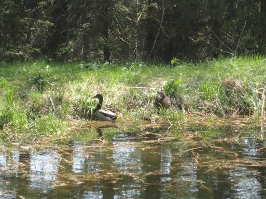 فندق Ferienhaus Hollinger
