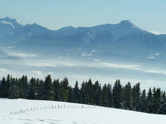 فندق Ferienhaus Hollinger