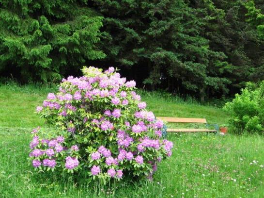 فندق Ferienhaus Hollinger