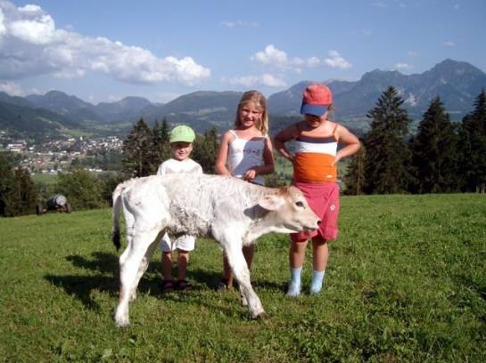 בית מלון כפרי Ferienhof Berger