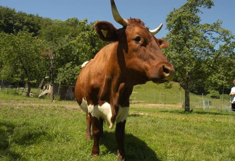 酒店 Gasthofladen Schneeweiss