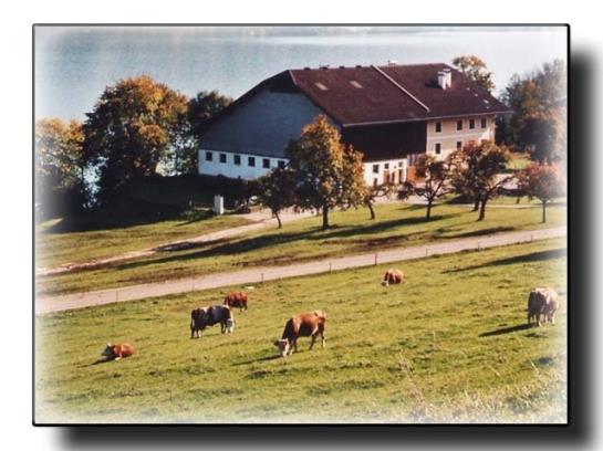 Отель Haubnerhof